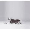 Barbour Tartan Dog Coat Quilted