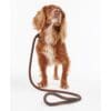 Barbour Dog SLIP Lead Tartan Trimmed - Image 5