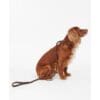 Barbour Dog SLIP Lead Tartan Trimmed - Image 6