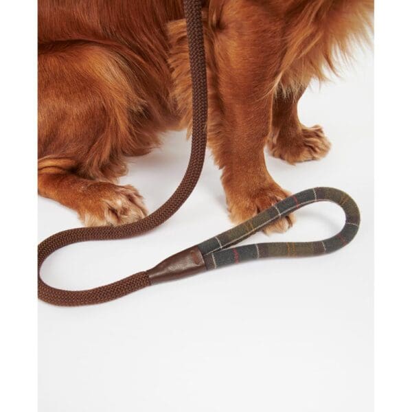 Barbour Dog SLIP Lead Tartan Trimmed - Image 8