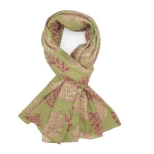 23054 olive 1