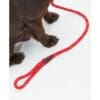Barbour Rope Reflective Slip Lead - Image 4