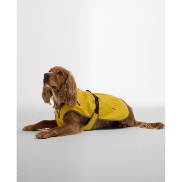 Barbour Evie Waterproof Dog Coat - Image 3