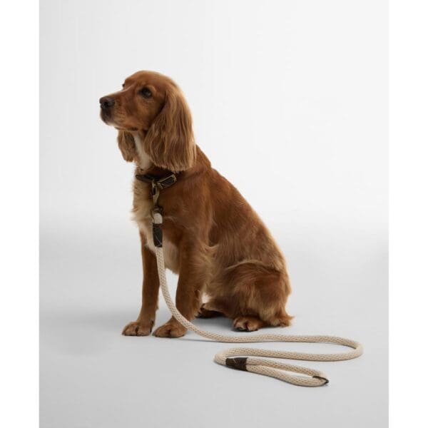 Barbour Cotton Rope Dog Lead - Image 3