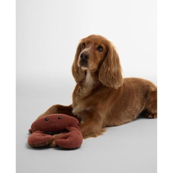 Barbour Crab Dog Toy - Image 3