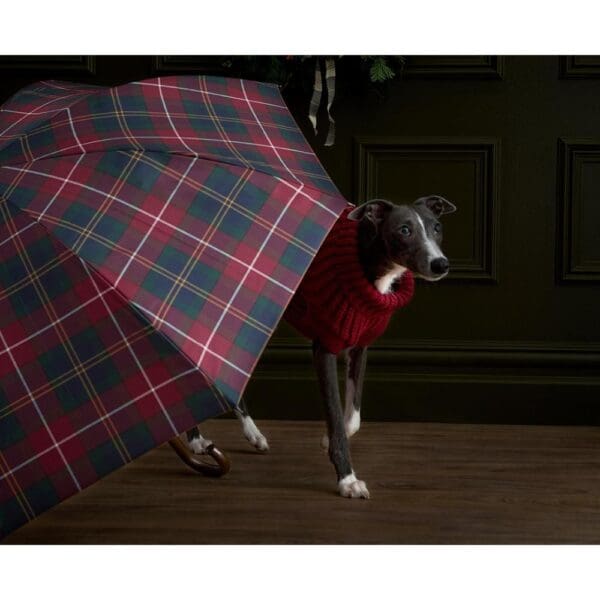 Barbour Walker Tartan Umbrella - Image 13