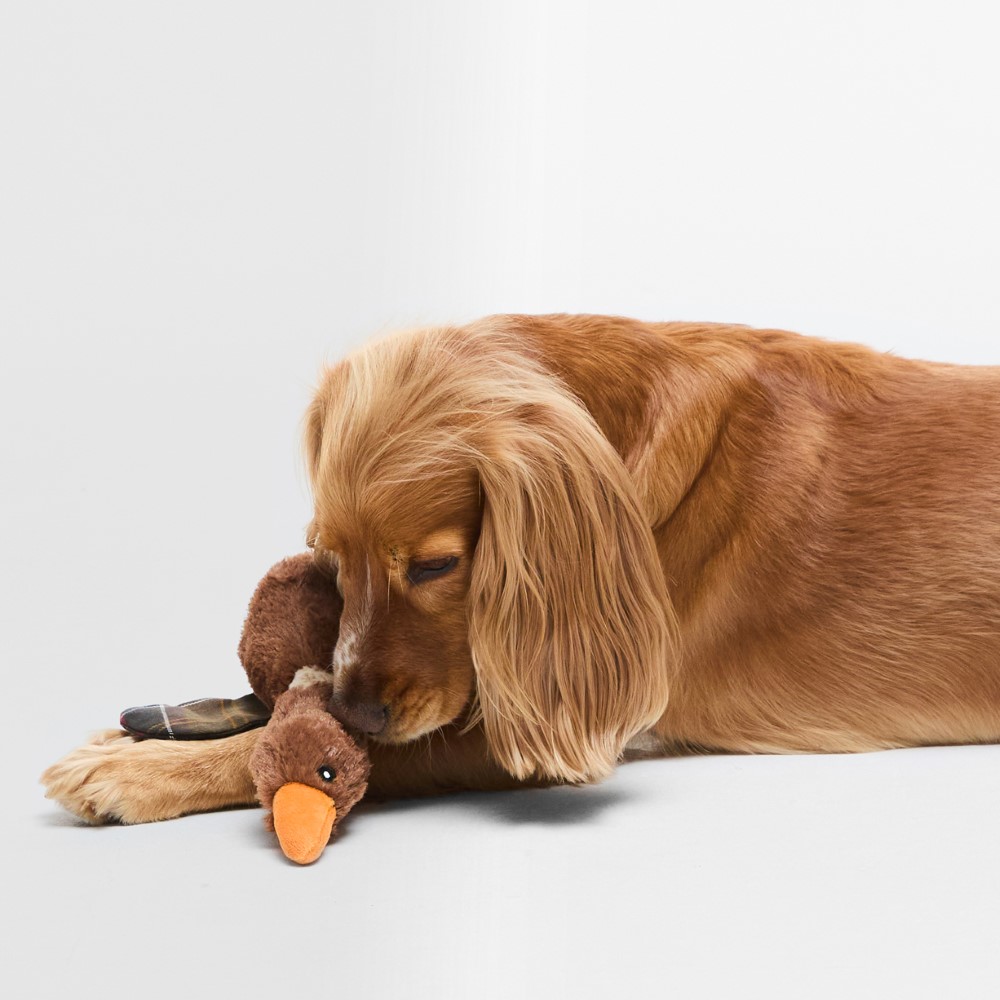 Barbour Flying Duck Dog Toy - Image 2