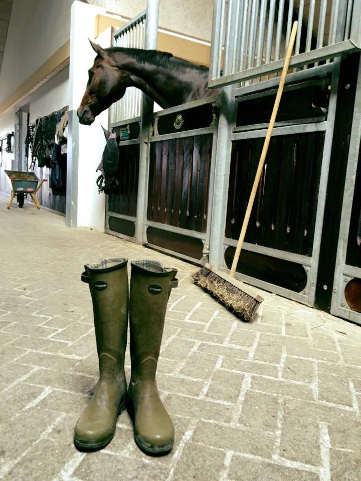 boots featured yard horse