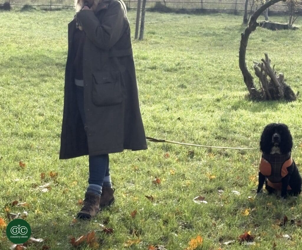 Wearing the Barbour Matilde Waterproof Jacket on a walk with Archie the spaniel